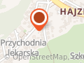 REALIZACJA INWESTYCJI TELEINFORMATYCZNYCH UTEL NET