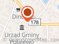 Market Dino