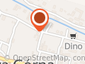 Market Dino