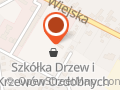 Ostojski Stanisław - Szkółka Drzew i Krzewów Ozdobnych