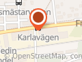Viggens Sociala Förening