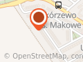 Avex. Organizacja Imprez Plenerowych, Festynów