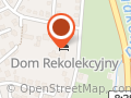 Stowarzyszenie Apostolstwa Katolickiego. Księża Pallotyni