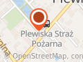 Dom Kultury 'Remiza' w Plewiskach