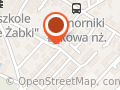 Zaślepki Samochodowe Paweł Misiak