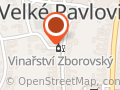 Léto ve skle