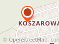 BAR SZYBKA RYBKA RADOSŁAW WIŚNIEWSKI