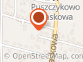 OCHOTNICZA STRAŻ POŻARNA W PUSZCZYKOWIE