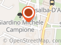 Studio Daddario