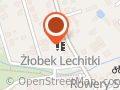 Żłobek Niepublicxny "Lechitki"