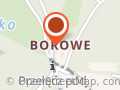 Słodka Pasieka Łukasz Bartos