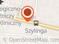 Błysk I Sukces Khrystyna Heorhiian