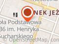 Poznańska Akademia Siatkówki Teszner
