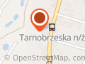 Tempo. Stręk W.