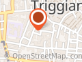 Dituri srl