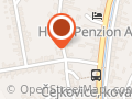 Jindřich Opluštil