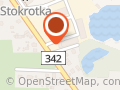 Stokrotka