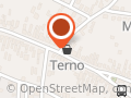 Terno