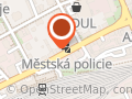 Městská policie