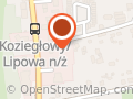 Polonia Biuro Ochrony Roman Lisowski