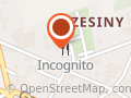 Restauracja Incognito