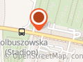 BTM RATOWNICTWO MEDYCZNE I TRANSPORT MEDYCZNY URSZULA SREBRNA