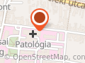 Fagyöngy Gyógyszertár