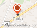 Żabka