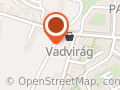 Vadvirág Virágüzlet