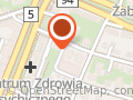 BUSINESS INTELLIGENCE SOLUTIONS SP. Z O.O.