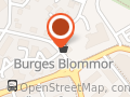 Burges Blommor AB