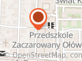 Chirurgia Estetyczna