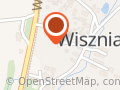 REPLIKI BRONI ŚREDNIOWIECZNEJ