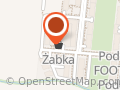Gruba Żaba