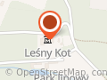 Leśny Kot