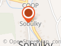 Radmila Pantlíková, smíšené zboží