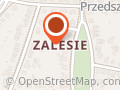 Zalesie 10