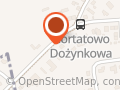 Ortodonta