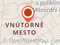 ALOISIANUM Spoločnosť Ježišova