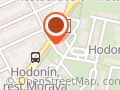 Acupuncturum