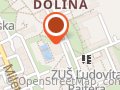 Delfín