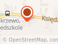 Drzewa i Krzewy Zakrzewo Świat Roślin