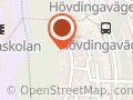 Mångsysslarna