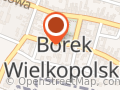 PZU Ubezpieczenia Borek Wielkopolski, Gostyń - Agent Michał Banaszak