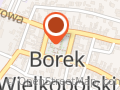 Ratusz w Borku Wielkopolskim