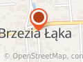 Kiermasz Choinek. BRZEZIA ŁĄKA-Wrocław