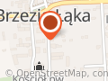 Auto-Mag Paweł Danielski