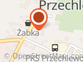 Ubezpieczenia Sylwia Kłosowska "BIS"