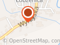 KONSUM SKLEP SPOŻYWCZO-PRZEMYSŁOWY I KWIATY K. WIONCZEK