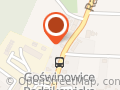 LUDOWY KLUB SPORTOWY LKS GOŚWINOWICE